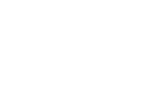 2021 icon
