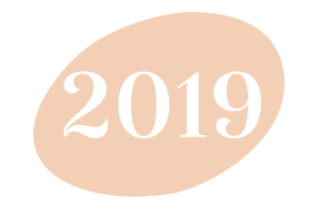 2019 icon